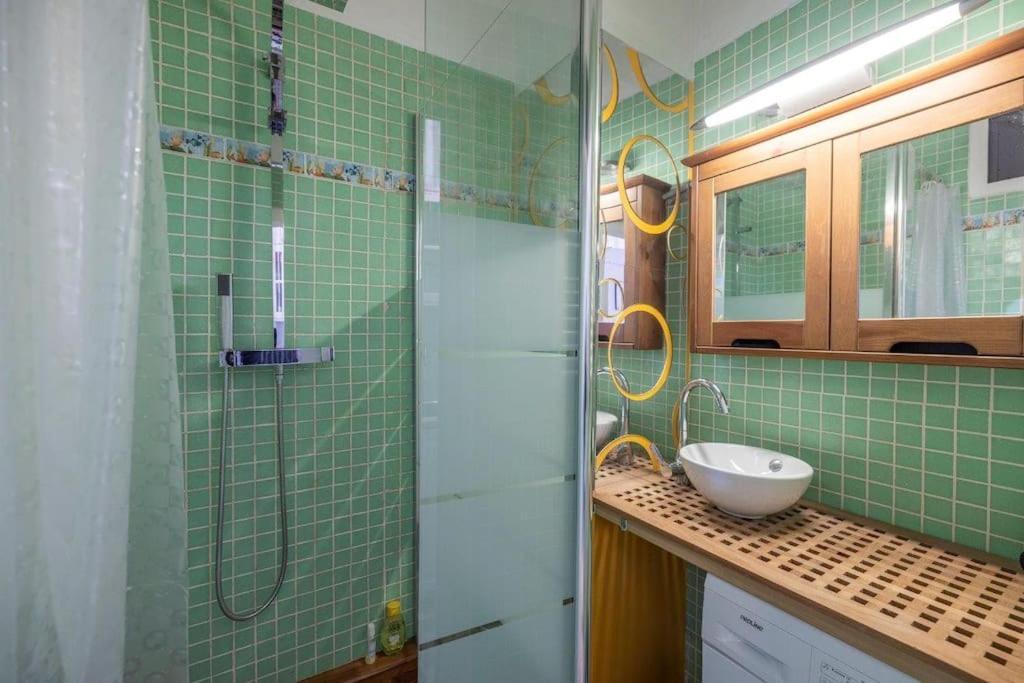 Appartement Cosy Dans Les Rues Pietonnes Grenoble Dış mekan fotoğraf