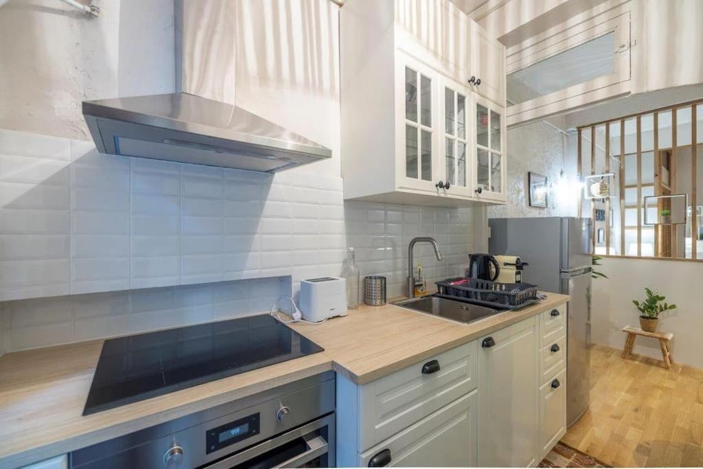 Appartement Cosy Dans Les Rues Pietonnes Grenoble Dış mekan fotoğraf