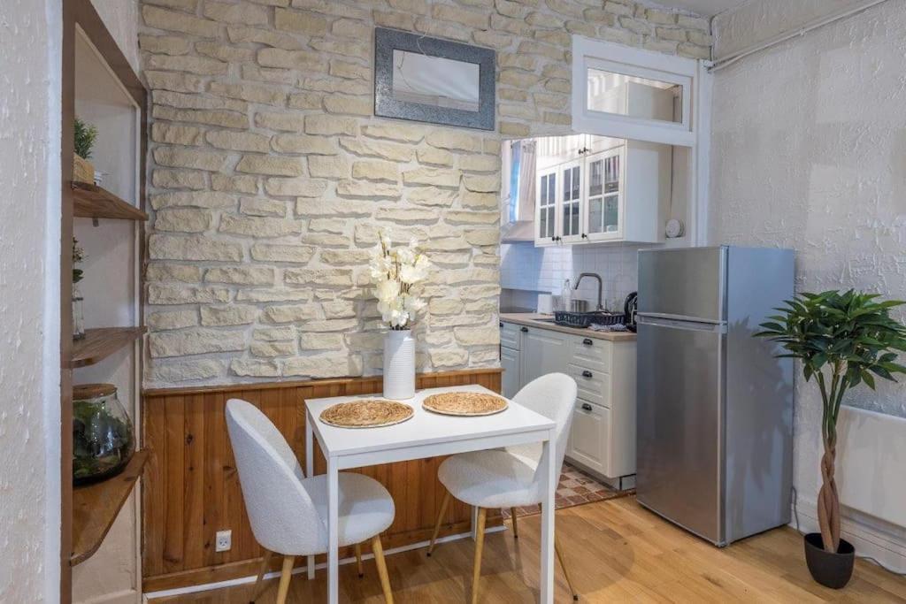 Appartement Cosy Dans Les Rues Pietonnes Grenoble Dış mekan fotoğraf